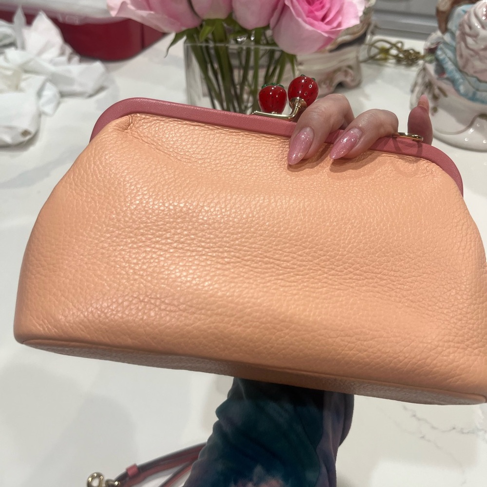 Coach Nora Strawberry  kiss lock purse - Picture 2 of 9